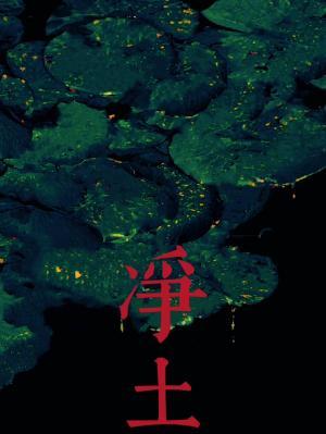 净土