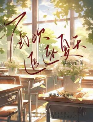 再次追逐夏天