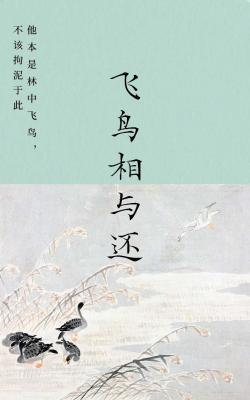 飞鸟相与还