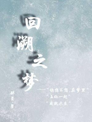 回溯之梦