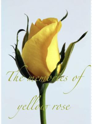 黄玫瑰的记忆作品封面