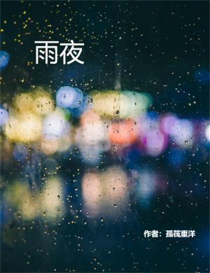 雨夜