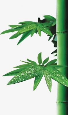 那些年，我们一起争夺的狱花