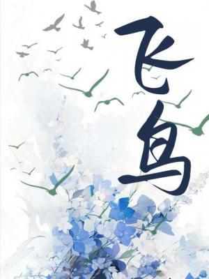 飞鸟