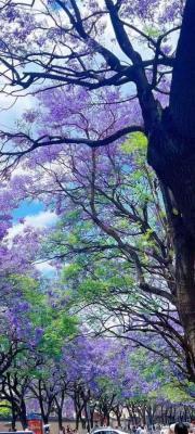 《感谢遇见》