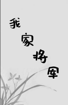 我家将军