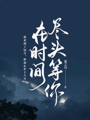在时间尽头等你
