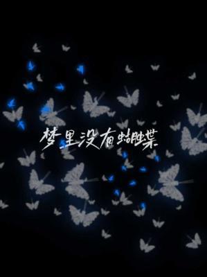 梦里没有蝴蝶