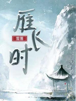 雁飞雪落时作品封面