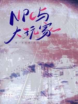 NPC与大玩家作品封面