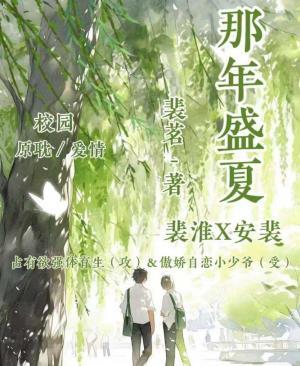 那年盛夏作品封面