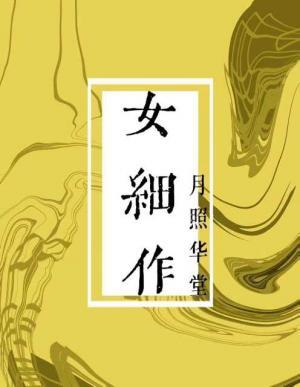 女细作作品封面