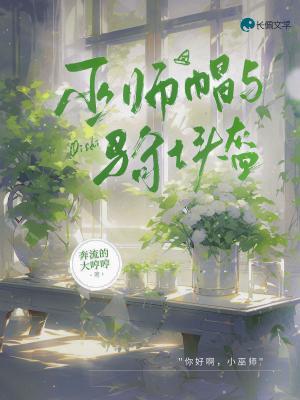 巫师帽与骑士头盔作品封面