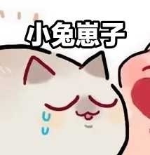 小兔崽子