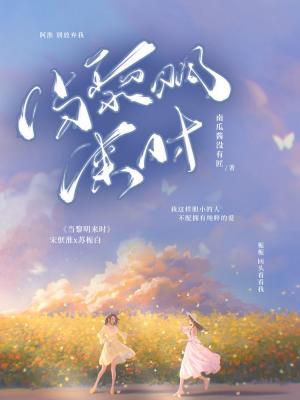 当黎明来时作品封面