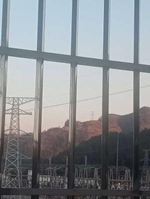 君子兰