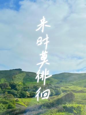 来时莫徘徊作品封面