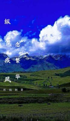 纵有疾风念繁华