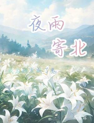 夜雨寄北gl