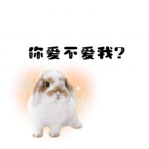 你爱不爱我？