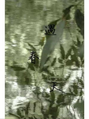 遇春天