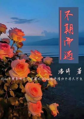 不期而遇_潘辞著_长佩文学网