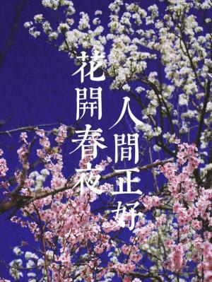花开春夜，人间正好