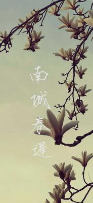 南城春迟