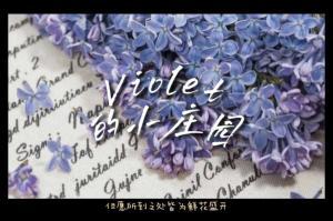 Violet的小庄园作品封面