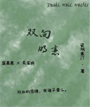 双向明恋作品封面