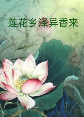 莲花香泽异乡来作品封面