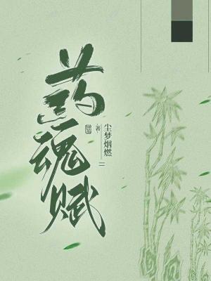 药魂赋