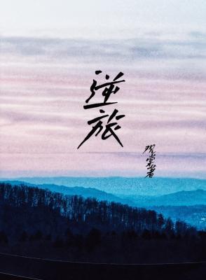 逆旅作品封面