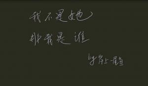我不是她，那我是谁