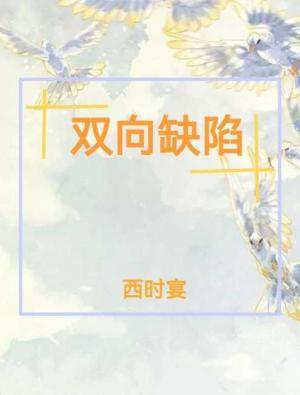 双向缺陷作品封面