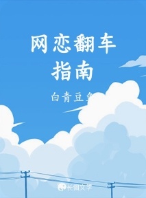 网恋翻车指南作品封面