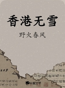 香港无雪作品封面