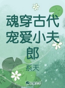 魂穿古代宠爱小夫郎