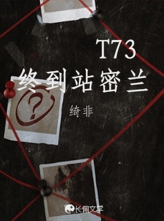 T73 终到站密兰作品封面