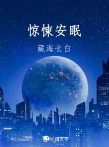 惊悚安眠作品封面