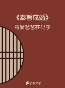 《奉旨成婚》