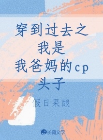 穿到过去之我是我爸妈的cp头子作品封面