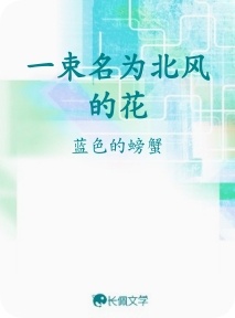 一束名为北风的花