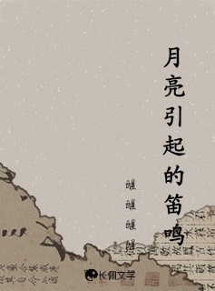 月亮引起的笛鸣