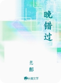 晚错过作品封面