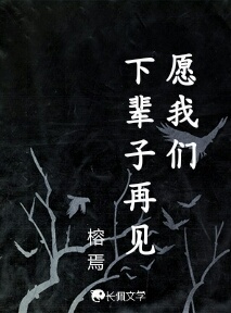 愿我们下辈子再见_榕焉著_长佩文学网