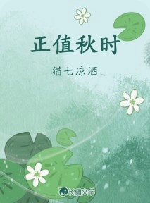 正值秋时作品封面