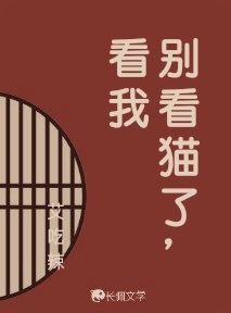别看猫了，看我