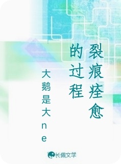 裂痕痊愈的过程作品封面