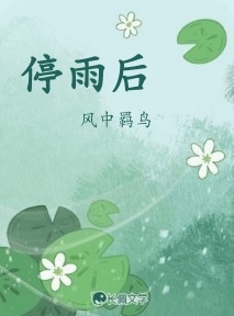 停雨后作品封面